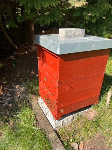 Ein sonniger Tag im Frühjahr. Die Bienen sammeln Pollen und Nektar.